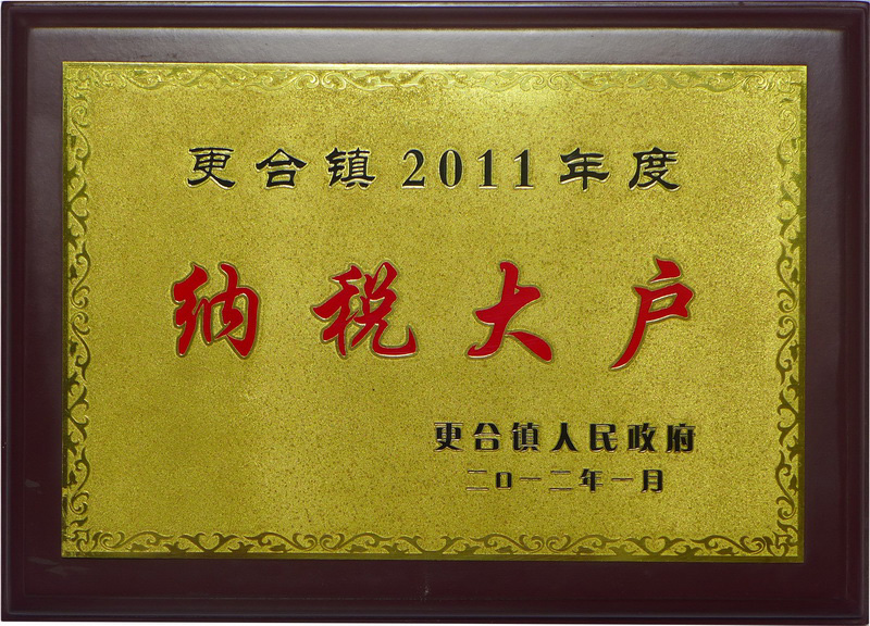 2011納稅大戶(hù)(2011年)